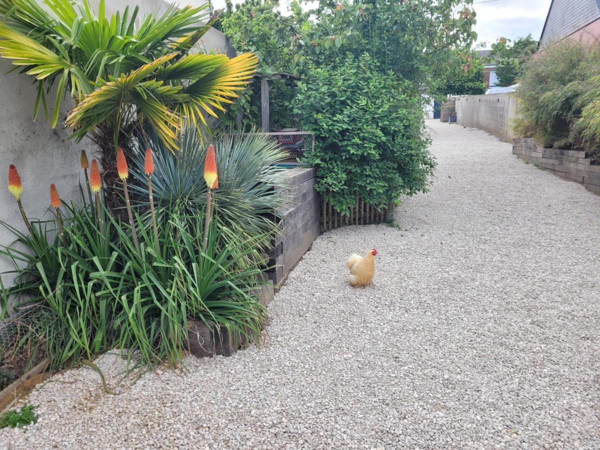 Tiny House Cosy 2 - Angers Green Lodge ภายนอก รูปภาพ